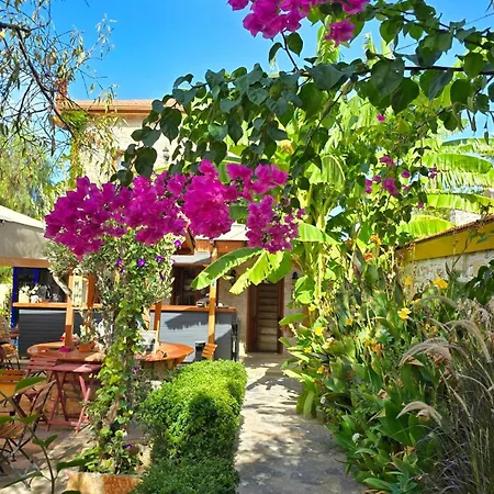 Feli Eski Adult Only Datça