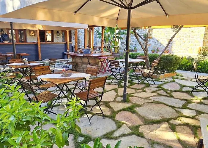 Feli Eski Adult Only *