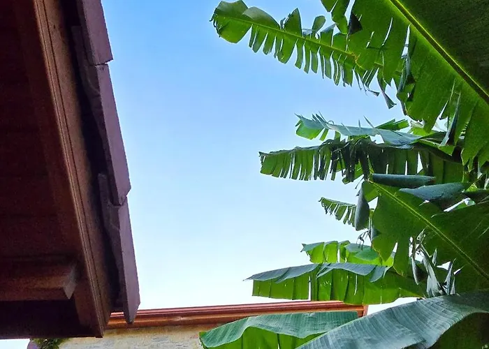 Feli Eski Adult Only