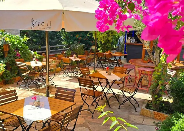 Feli Eski Adult Only *