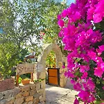 Otel Feli Eski Adult Only