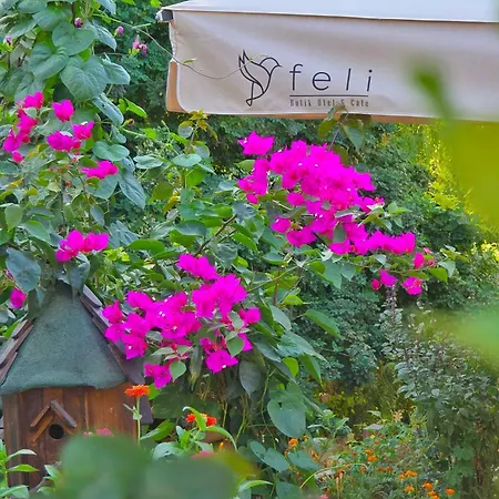 Otel Feli Eski Adult Only