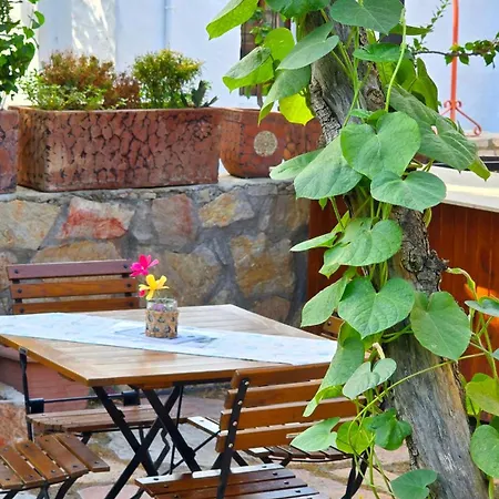 Feli Eski Adult Only Datca