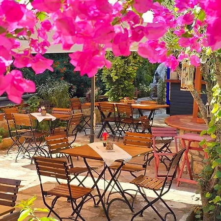 Feli Eski Adult Only Datca