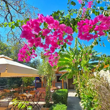 Hotel Feli Eski Adult Only Datca