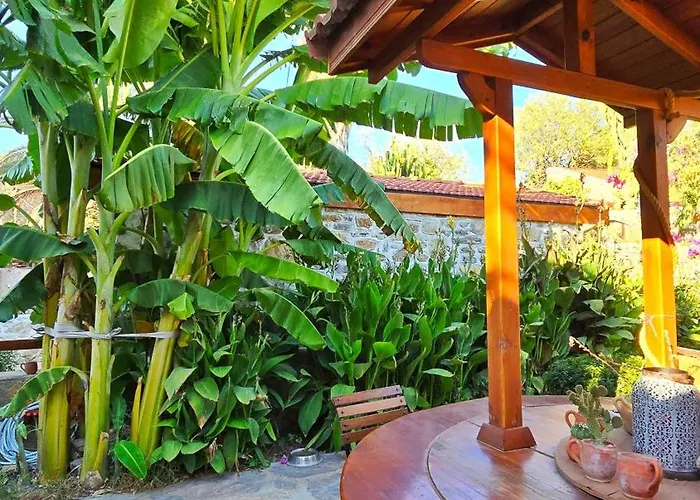 Feli Eski Adult Only *