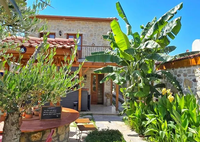 Feli Eski Adult Only * ダッチャ