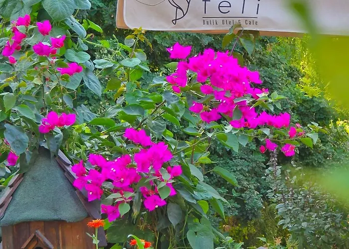 ホテル Feli Eski Adult Only