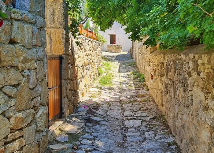 Feli Eski Adult Only *