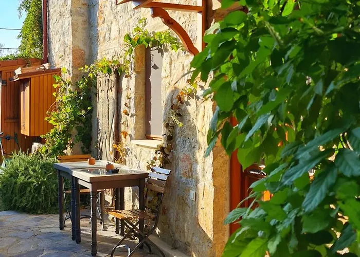 Feli Eski Adult Only ダッチャ