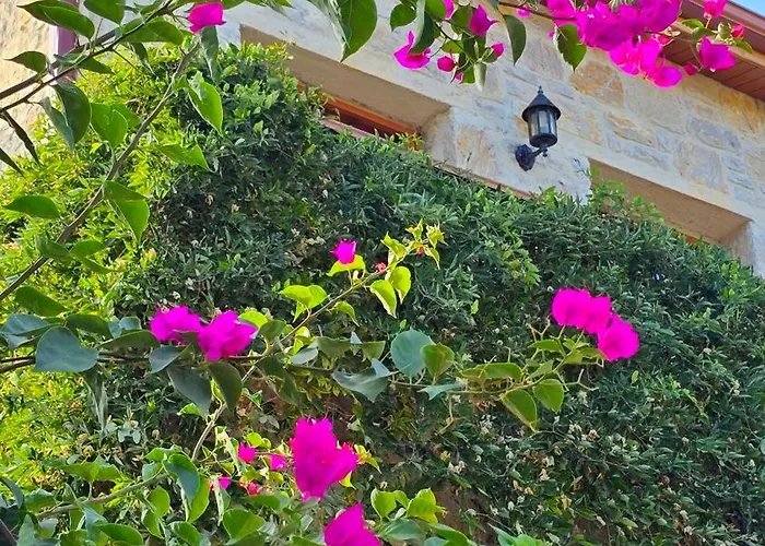 Feli Eski Adult Only * ダッチャ