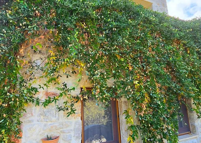 ホテル Feli Eski Adult Only