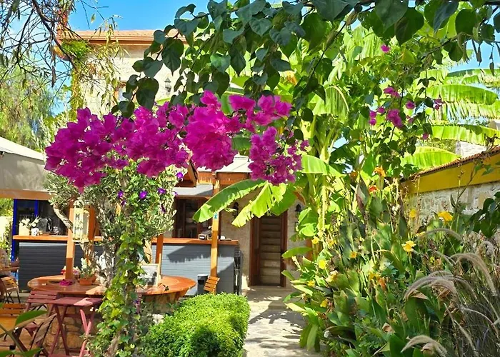 Feli Eski Adult Only ダッチャ