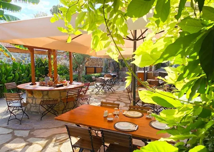 Feli Eski Adult Only ダッチャ