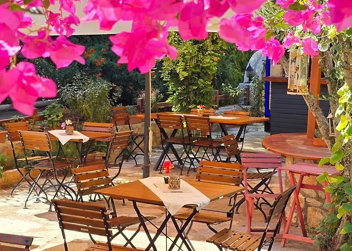 Feli Eski Adult Only ダッチャ