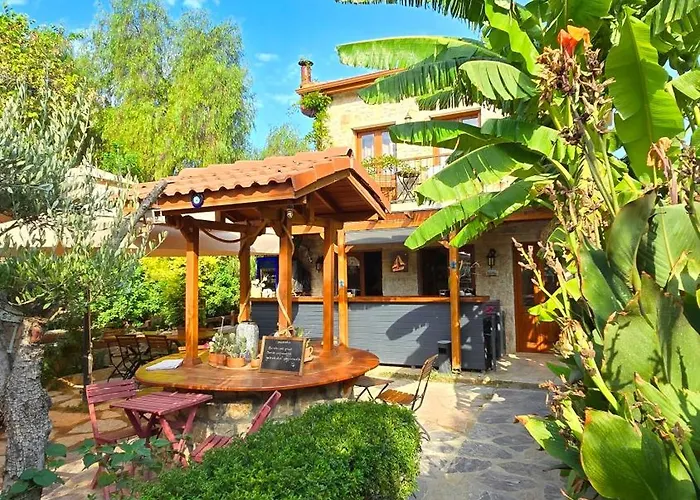 Feli Eski Adult Only